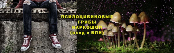 марки lsd Гусиноозёрск